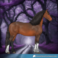 Horse Color:Bay Tobiano 