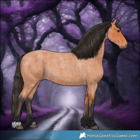Horse Color:Bay Roan