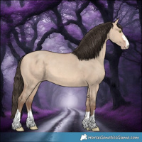 Horse Color:Amber Champagne Dun 