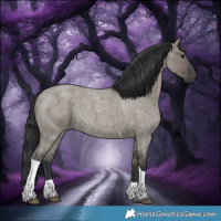 Horse Color:Grullo Roan Tobiano 