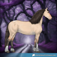 Horse Color:Bay Dun Tobiano 