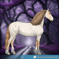 Horse Color:Red Dun Roan 