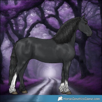 Horse Color:Black Tobiano Rabicano 