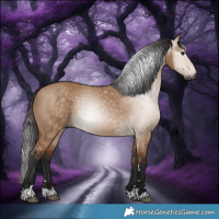 Horse Color:Gray Bay Dun