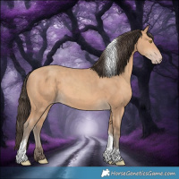 Horse Color:Amber Champagne Tobiano