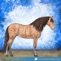 Horse Color:Bay  and Amber Champagne 