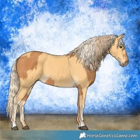 Horse Color:Chestnut  and Palomino 