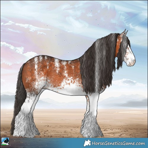 Horse Color:Powder White White Spotted Bay Rabicano 