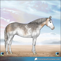 Horse Color:White Spotted Silver Buckskin Roan Splash Rabicano 