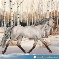 Horse Color:Silver Brown Roan Dun
