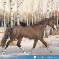 Horse Color:Liver Red Dun Rabicano 