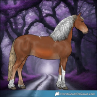 Horse Color:Chestnut Tobiano