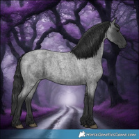 Horse Color:Blue Roan