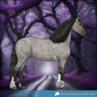 Horse Color:Grullo Roan Tobiano