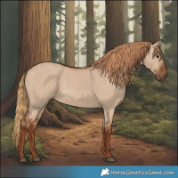 Horse Color:Red Dun Rabicano 