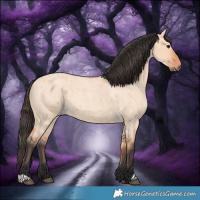 Horse Color:Bay Roan Dun 