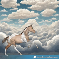 Horse Color:Brown Pearl Dun Tobiano