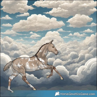 Horse Color:White Spotted Liver Red Dun