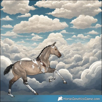 Horse Color:White Spotted Brown Dun Tobiano 