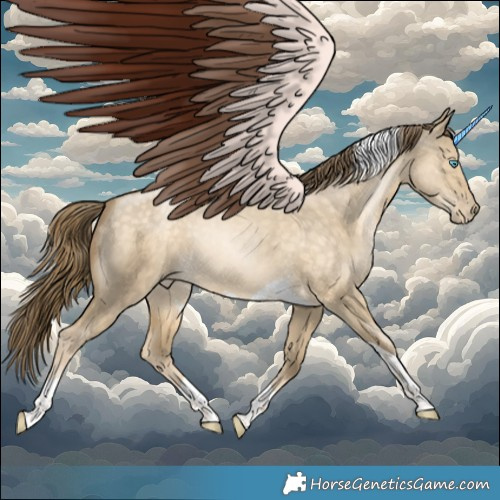 Horse Color:Buckskin Pearl Dun Tobiano