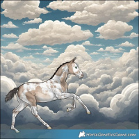 Horse Color:Sable Champagne Dun Splash Tobiano Rabicano 