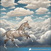 Horse Color:White Spotted Liver Red Dun Rabicano 