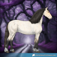 Horse Color:Buckskin Roan Dun Tobiano