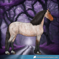 Horse Color:Bay Roan 