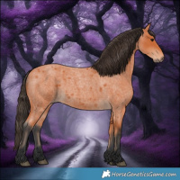 Horse Color:Bay Roan 