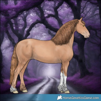 Horse Color:Gold Champagne Tobiano