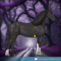 Horse Color:Smoky Black Tobiano 