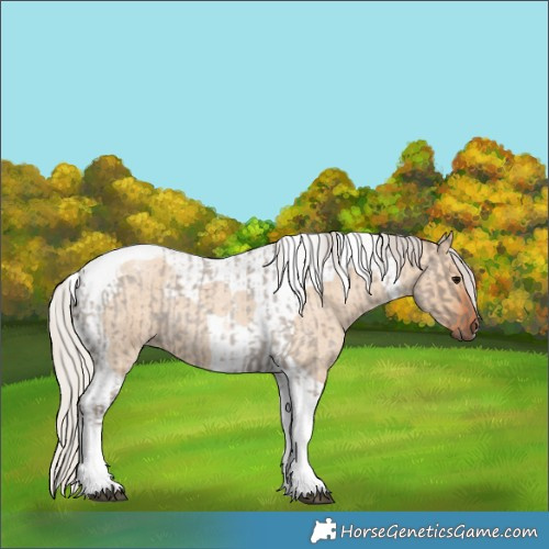 Horse Color:Silver Grullo Roan Tobiano  and Silver Bay Roan Dun Tobiano 