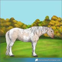Horse Color:Silver Grullo Roan Tobiano and Silver Bay Roan Dun Tobiano