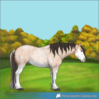 Horse Color:Bay Roan Dun Splash  and Bay Roan Dun Splash 
