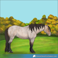 Horse Color:Bay Roan Dun Splash 