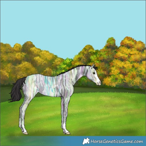 Horse Color:Smoky Black Ice 