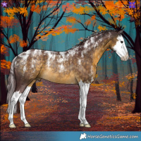 Horse Color:Powder White Chocolate Buckskin Splash Rabicano 