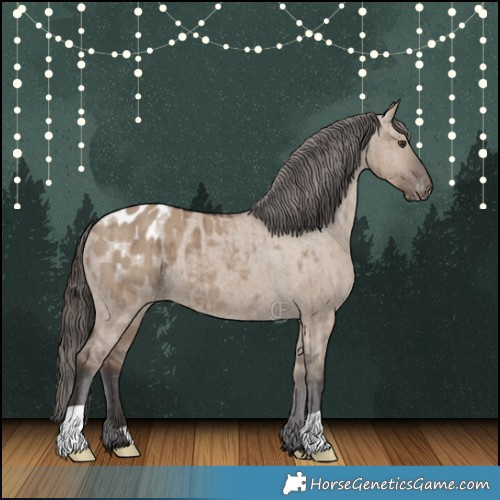Horse Color:Liver Red Dun Appaloosa Brindle 