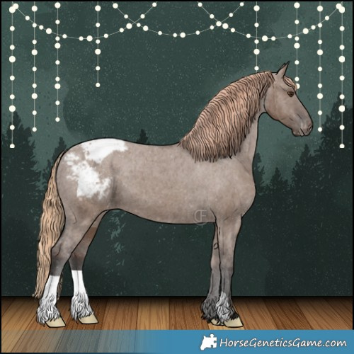 Horse Color:Liver Red Dun Appaloosa Brindle 