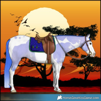 Horse Color:Watercolor Bay Dun Sabino Splash Tobiano 