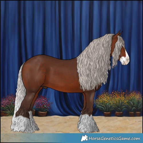 Horse Color:Silver Brown Splash 