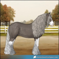 Horse Color:Silver Smoky Black Splash 