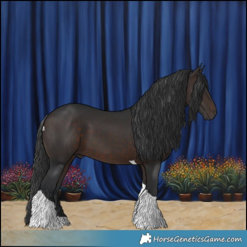 Horse Color:Brown Tobiano 