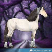 Horse Color:Buckskin Roan Dun Tobiano