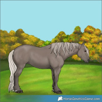 Horse Color:Silver Grullo 
