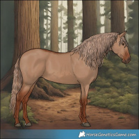 Horse Color:Red Dun Rabicano 