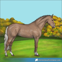 Horse Color:Silver Grullo 