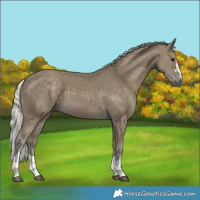 Horse Color:Silver Smoky Black 