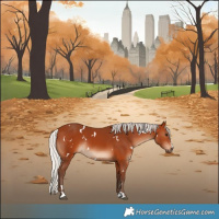 Horse Color:White Spotted Silver Bay 