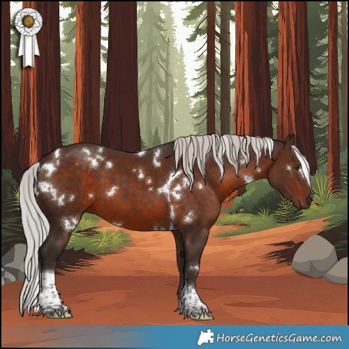 Horse Color:White Spotted Silver Brown Tobiano 